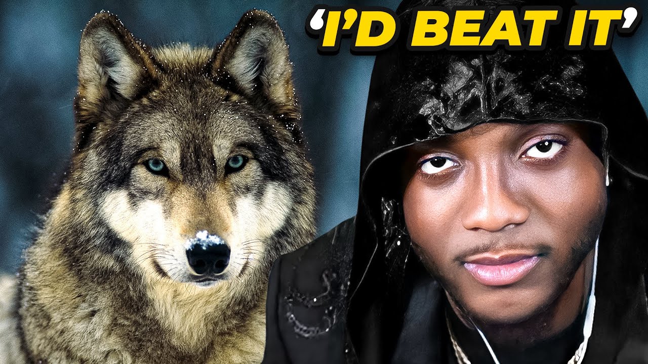 YourRAGE Reacts To ARE WOLVES OP? TierZoo