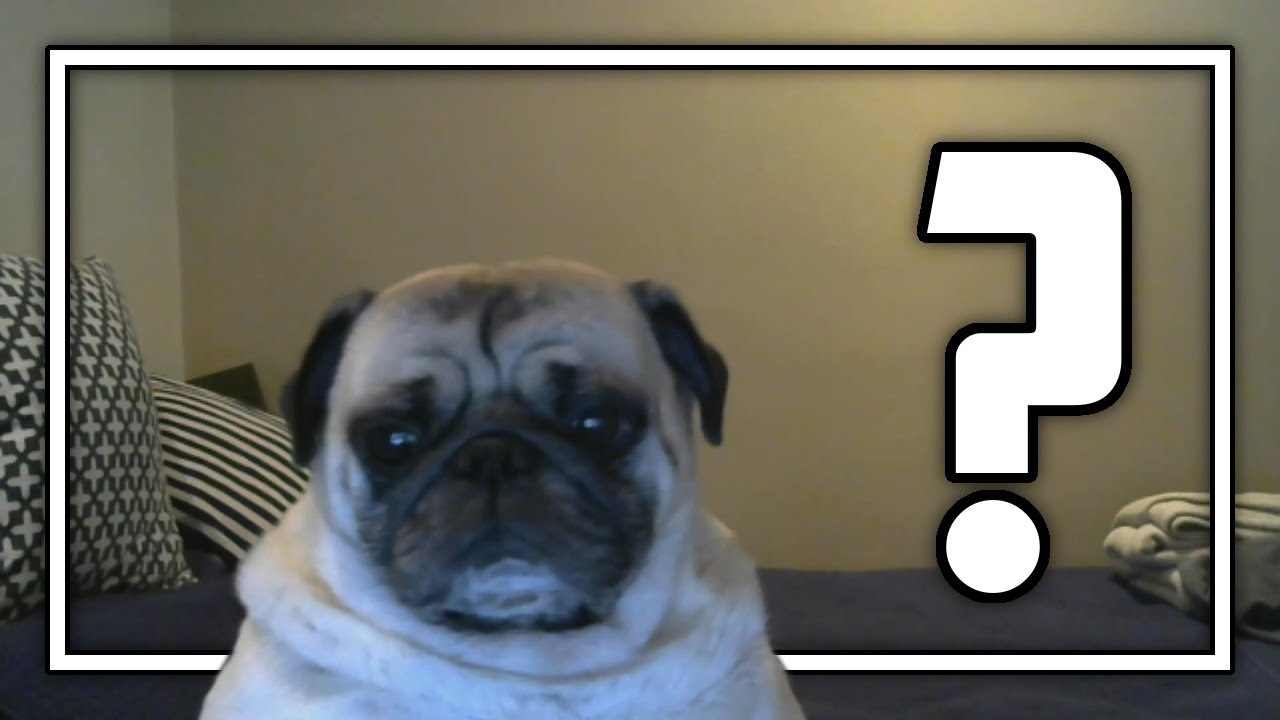 My True Identity!