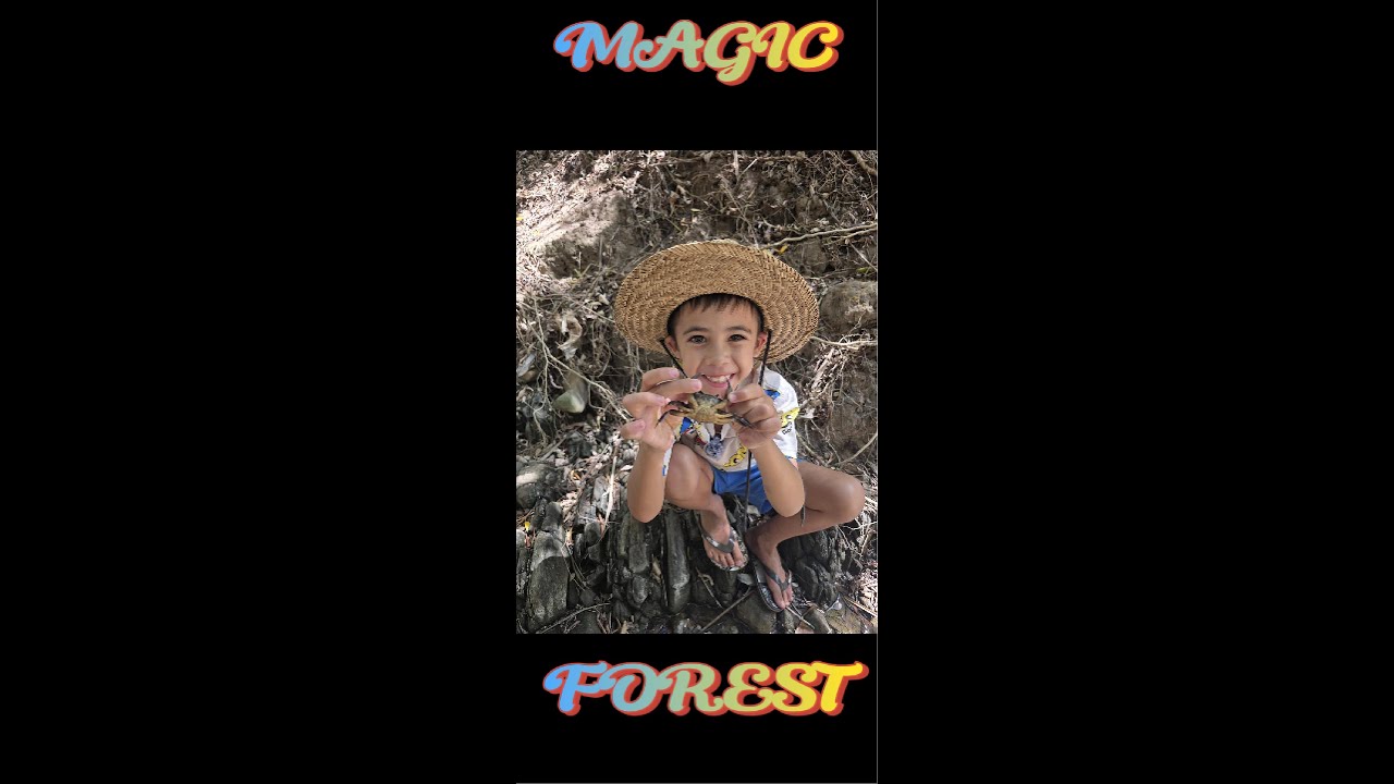 Elijahs MAJIK(MAGIC) FOREST adventure in Cape Town , We found a SNAKE!!!