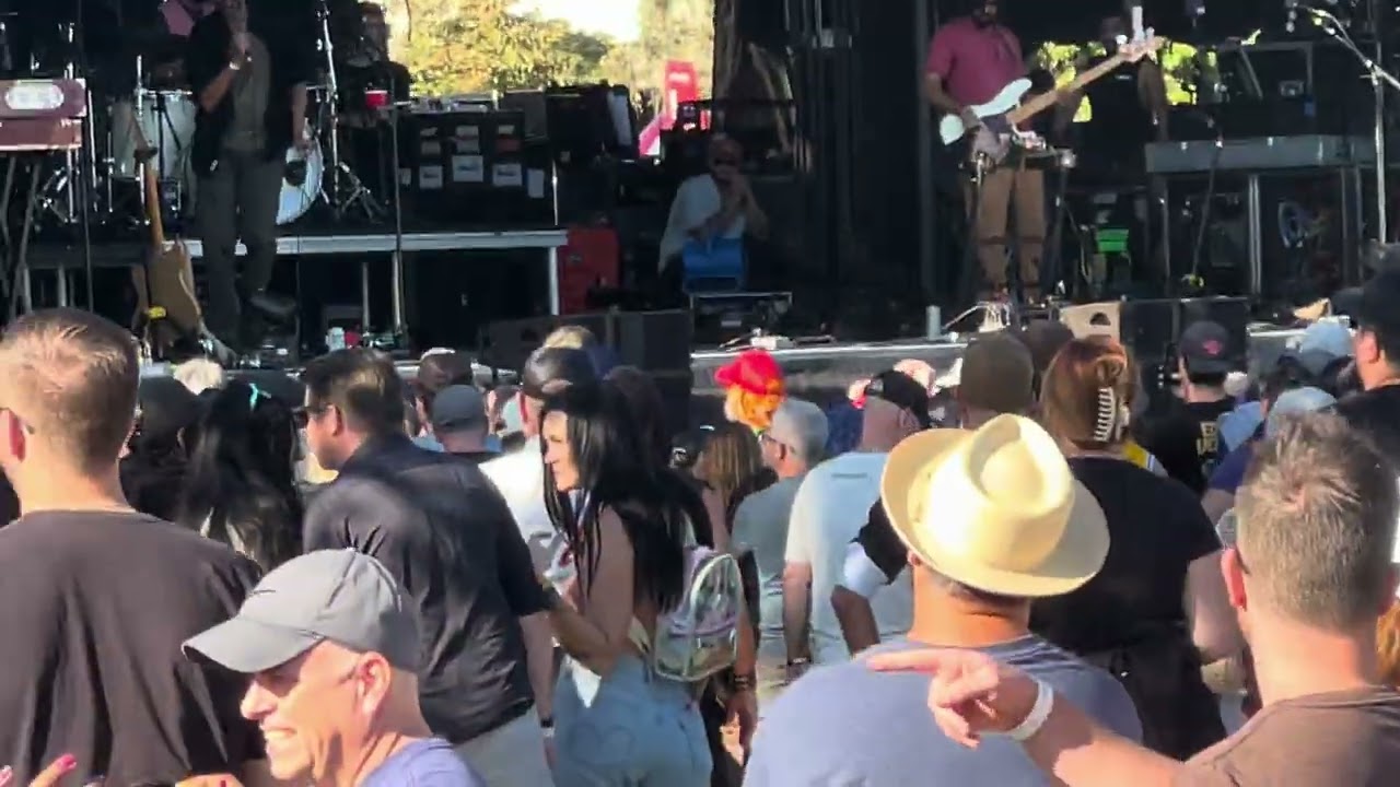 Peter Cat Recording Co. - Memory Box @ Ohana Festival 2024