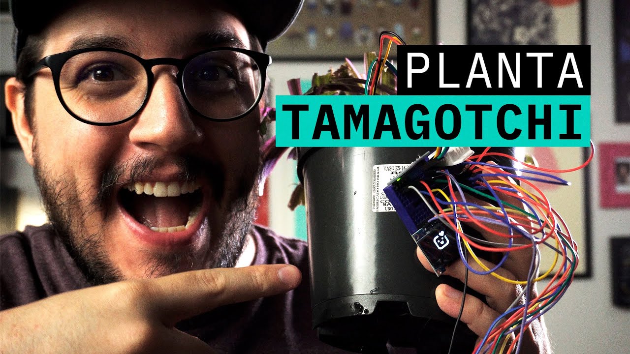 Minha PLANTA TAMAGOTCHI - automação de jardim inteligênte - INTERNET DAS PLANTAS