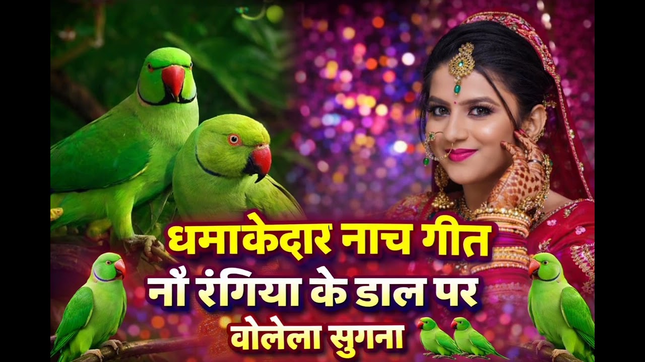 #धमाकेदार #लचारी _गीत  //नौ रंगिया के डाल पर 🦜🦜 //#Mansha official