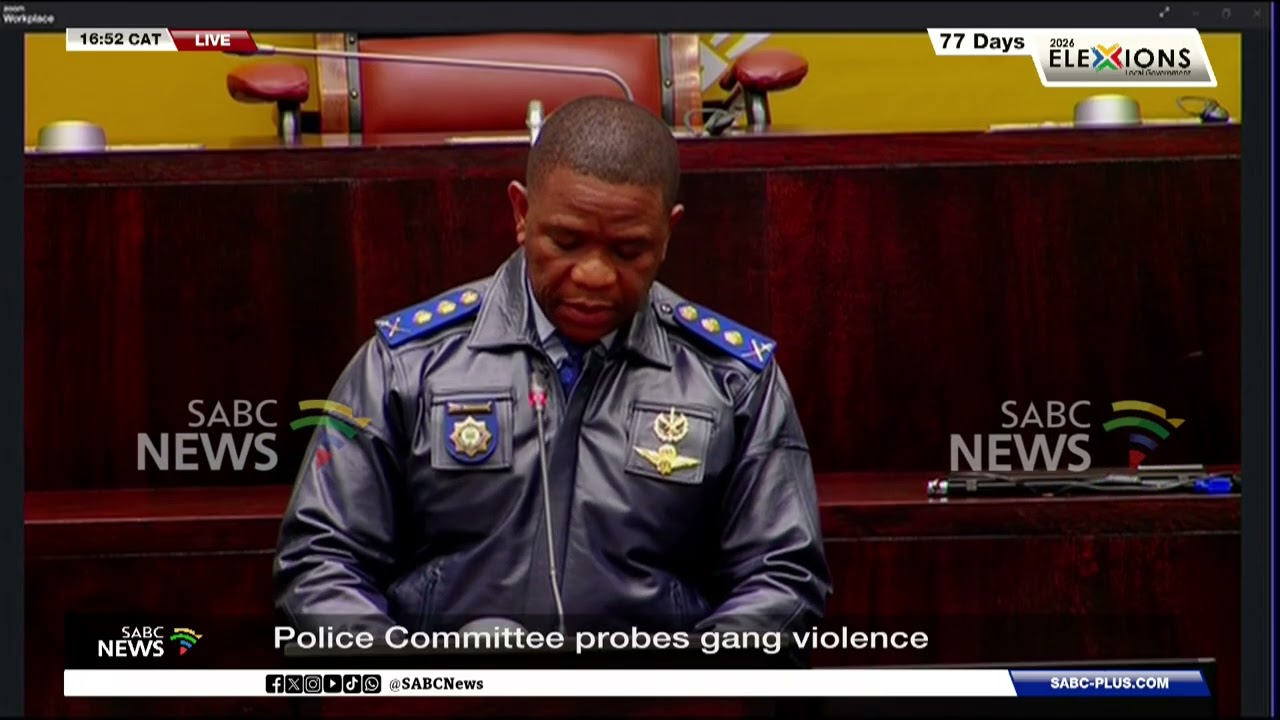 Gang Violence | Police Committee seeks solutions to gang violence