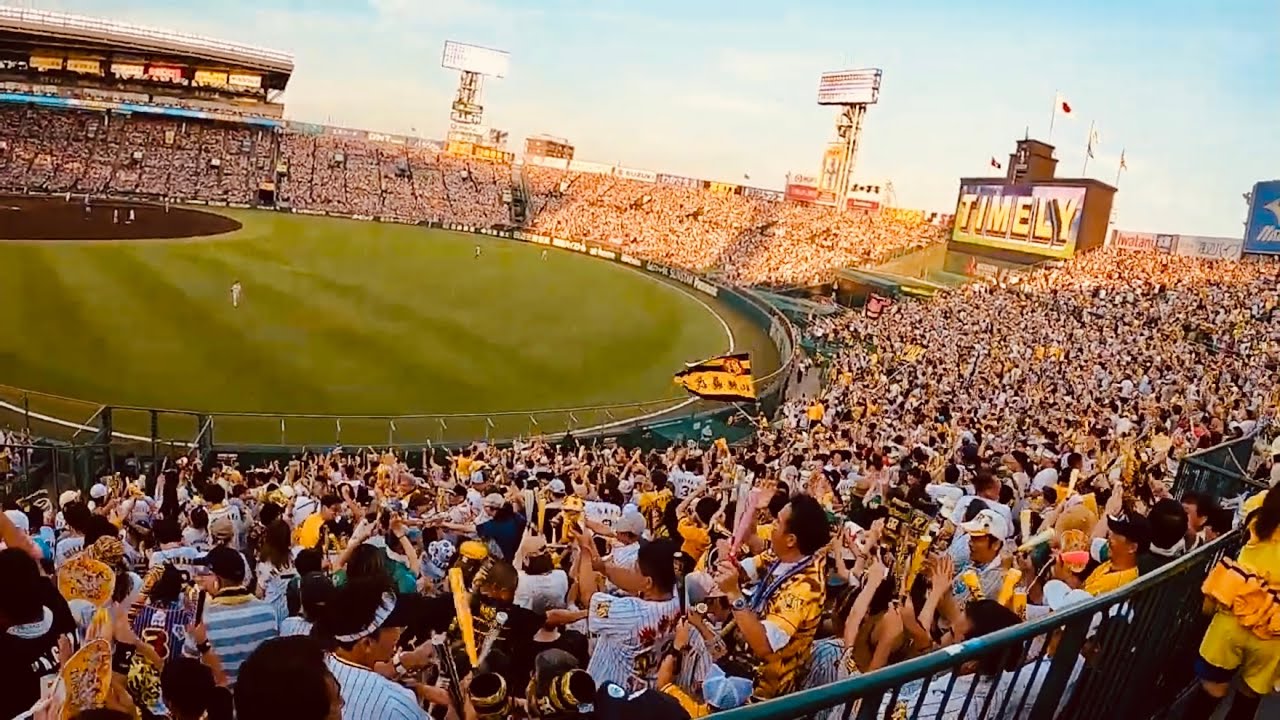 Hanshin Tigers vs Yomiuri Giants 7/31/2024
