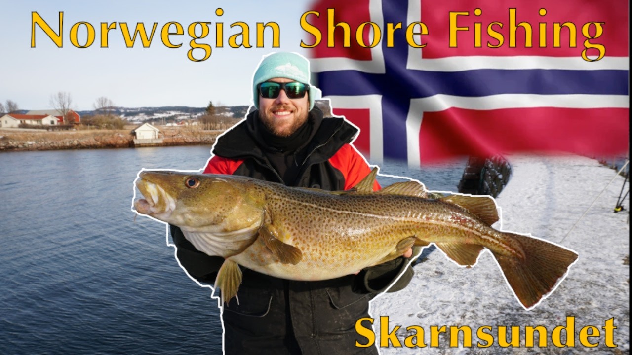 Norwegian Shore Fishing Adventure - Skarnsundet Fjordsentre #Cod #Trondheim