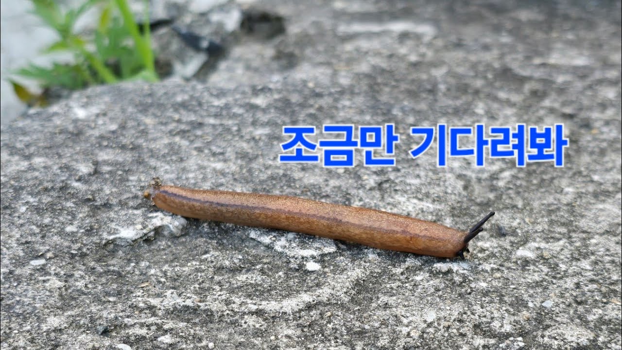 [카러플 S34] 기다림을 준비기간으로