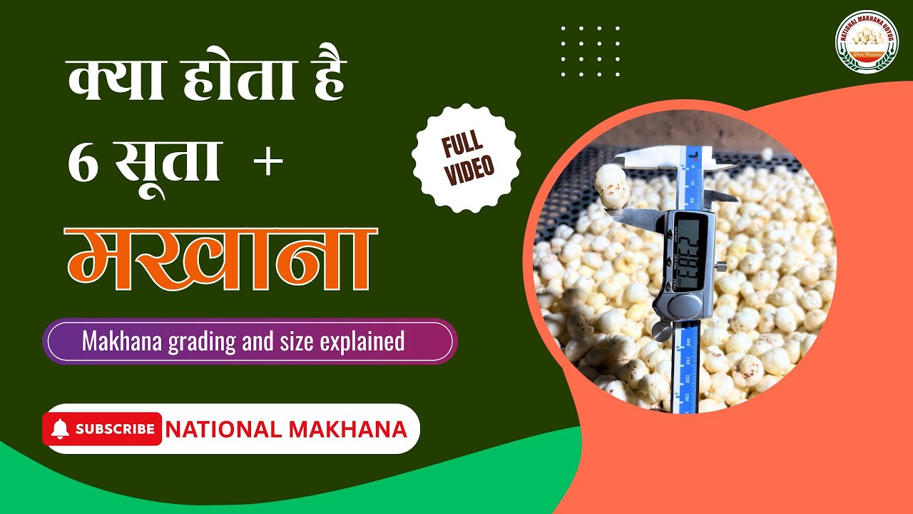 What is 6 Sutta+ Makhana? | Premium Makhana Grading & Sizes Explained  | Handpicked Makhana
