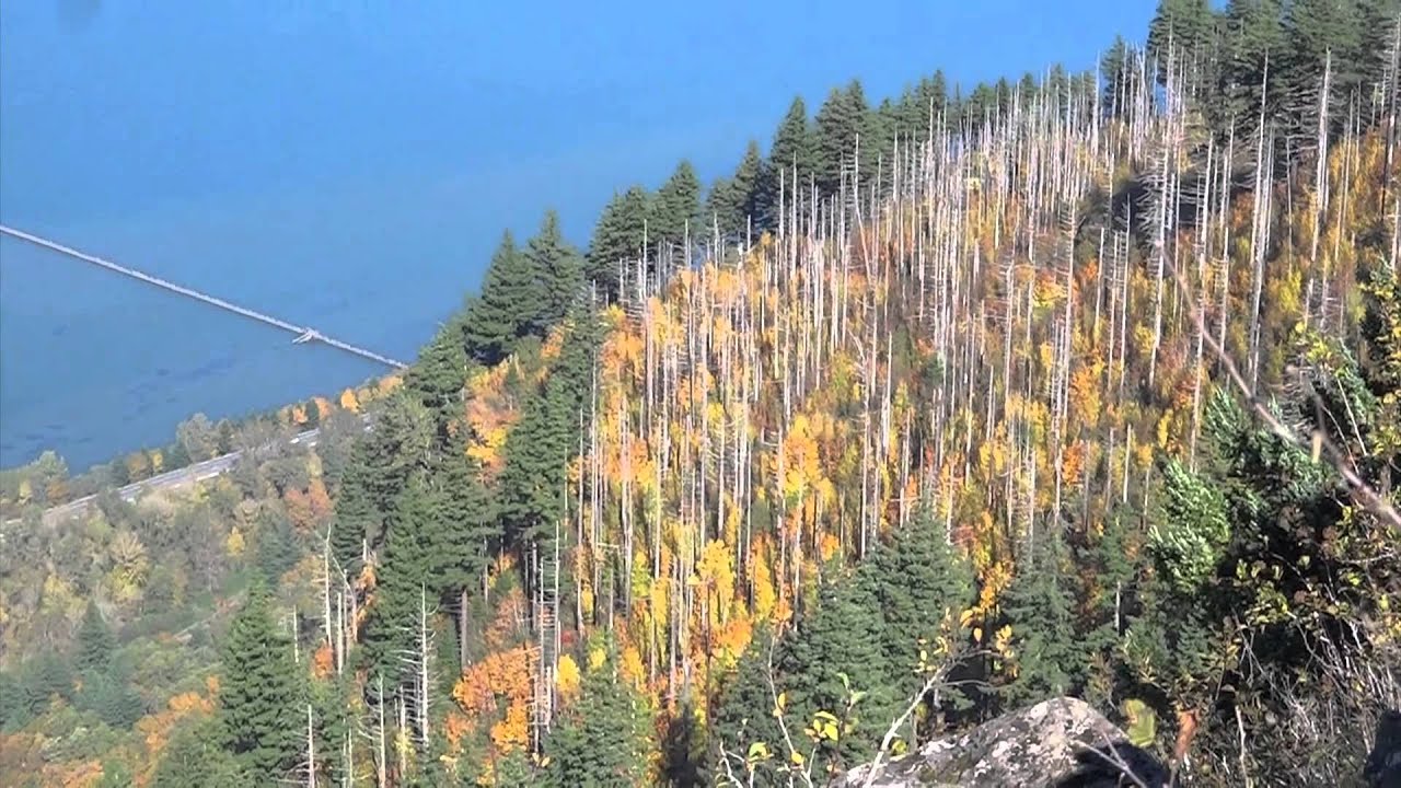 Hiking Angels Rest- Hiking Oregon Trails- Episode 8- 