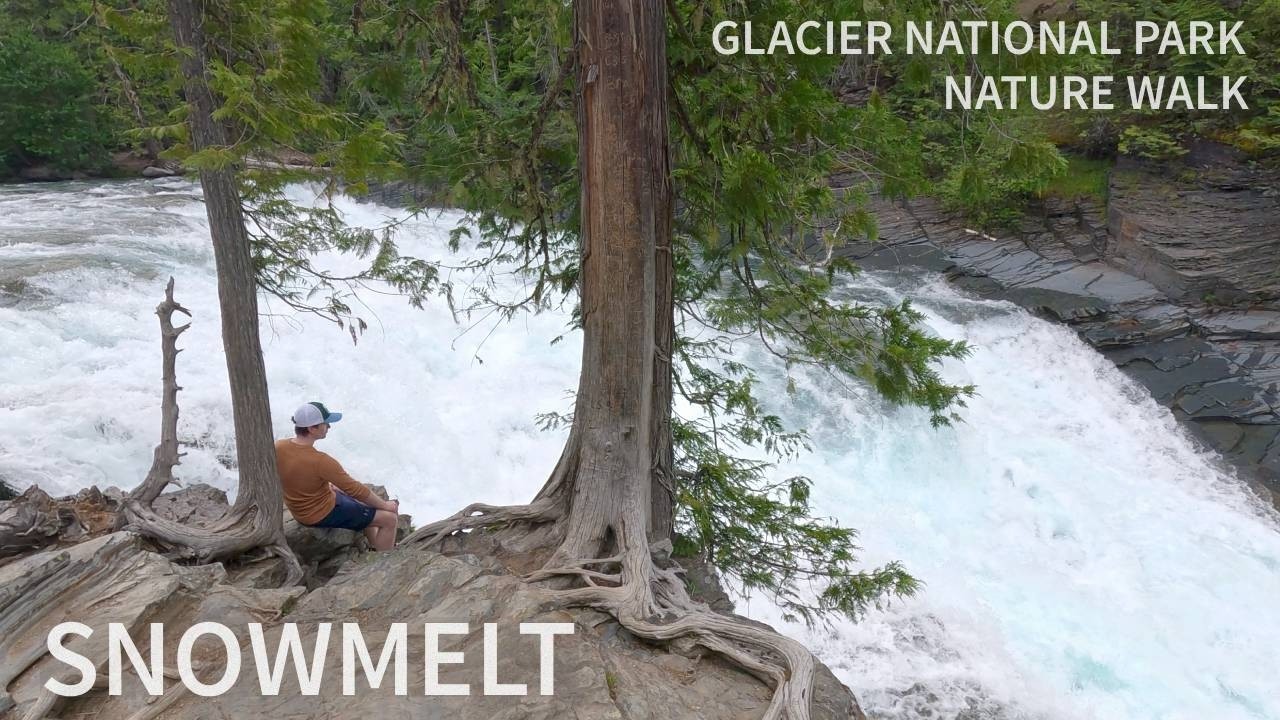 Nature Walk–McDonald Creek at Glacier National Park