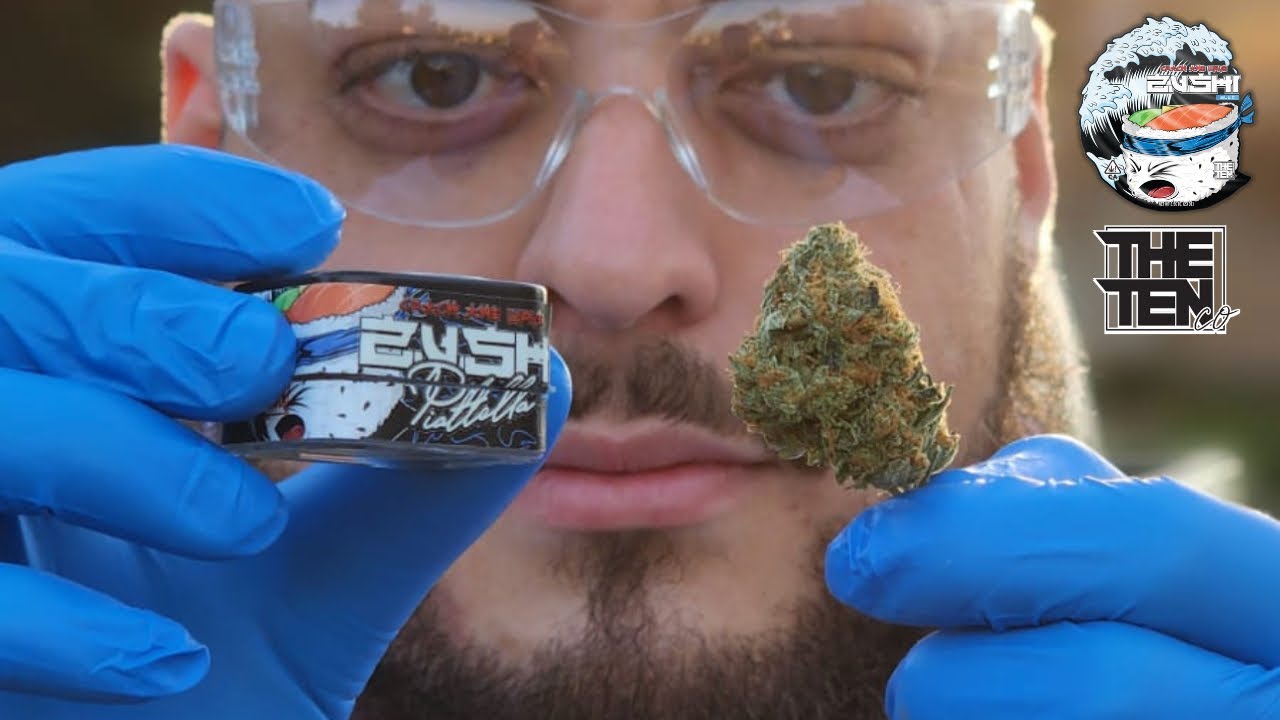BLUE ZUSHI PIATELLA X BLUE ZUSHI FLOWER COMBO