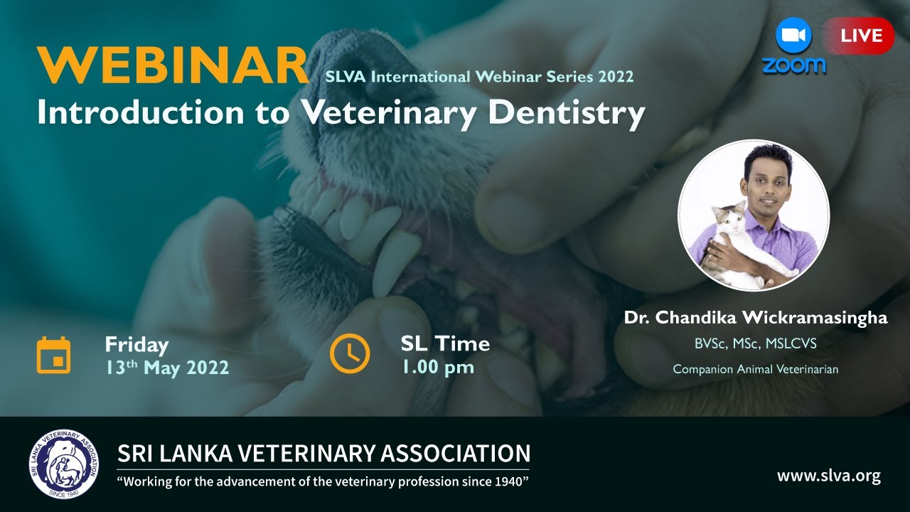 Introduction to Veterinary Dentistry