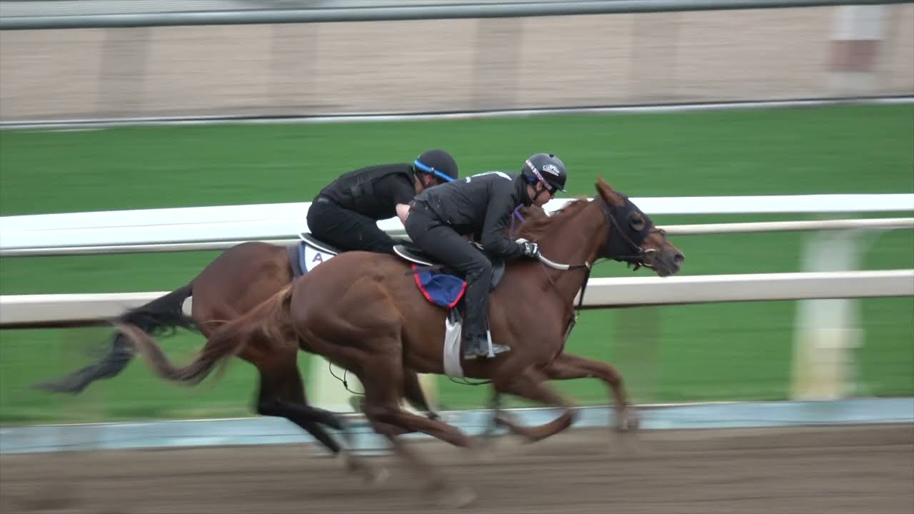Ramblin Boy 3f breeze