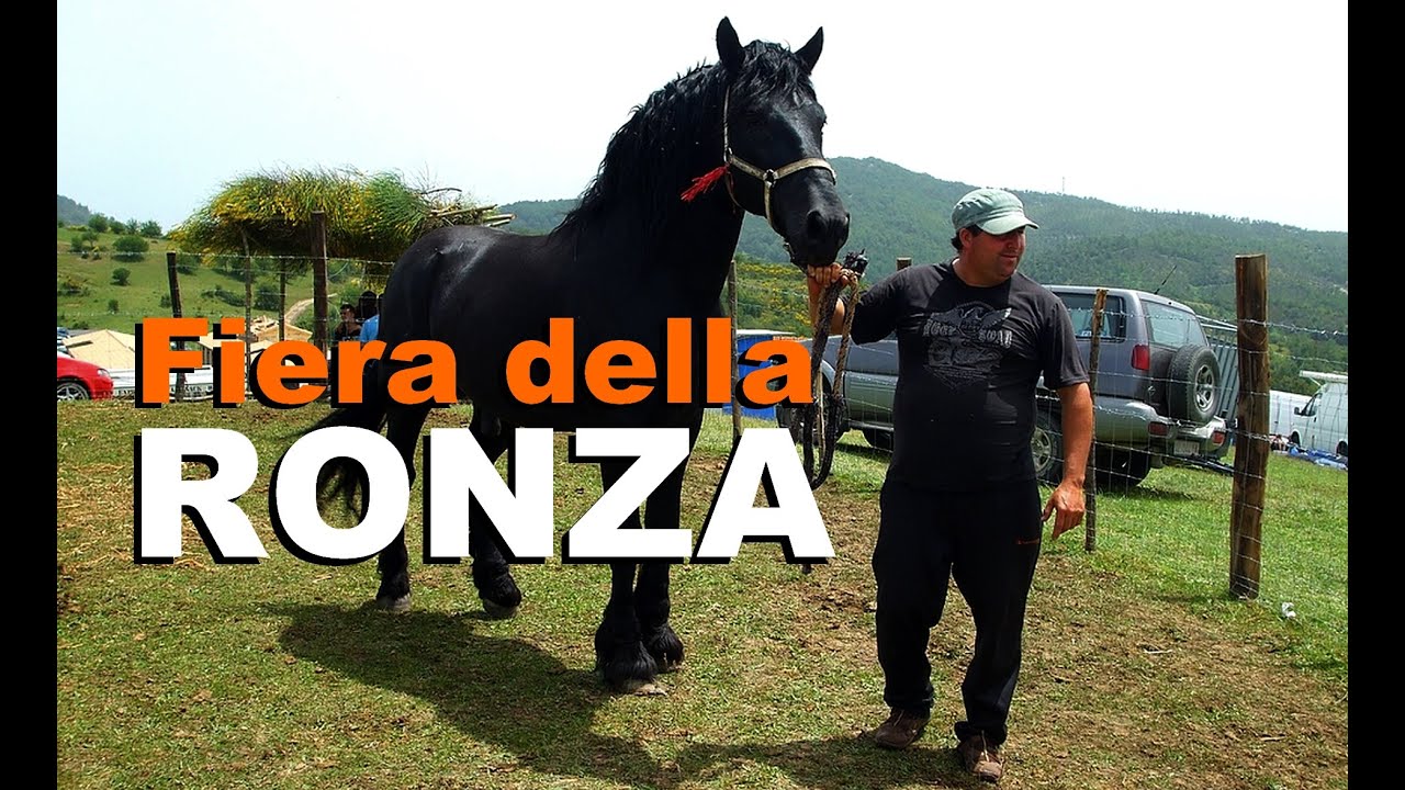 Campana CS - Fiera della Ronza | La Storia siamo noi