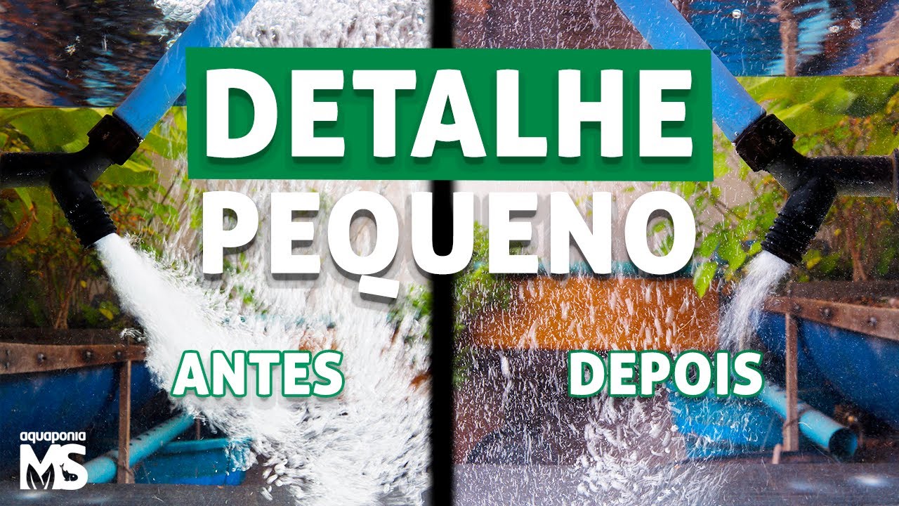 Oxigenação: DETALHE que faz toda a DIFERENÇA