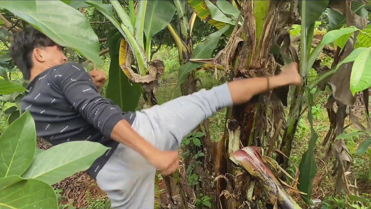 NGUYỄN TRẦN DUY NHẤT | Daily Vlog | LUYỆN VÕ ĐẦU NĂM VỚI MÀN 