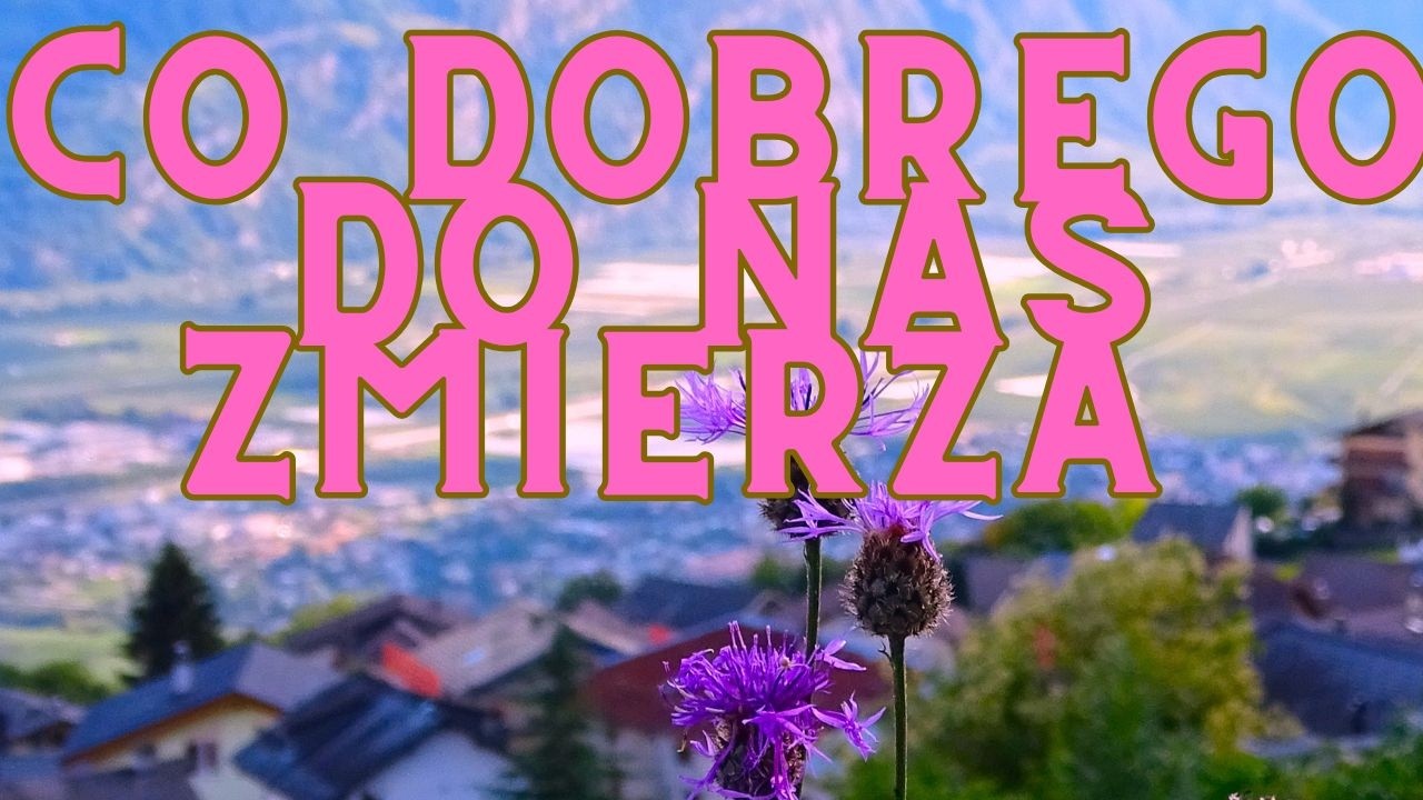 CO DOBREGO DO NAS ZMIERZA ❤️🌞 WYBIERZ GRUPĘ 💛