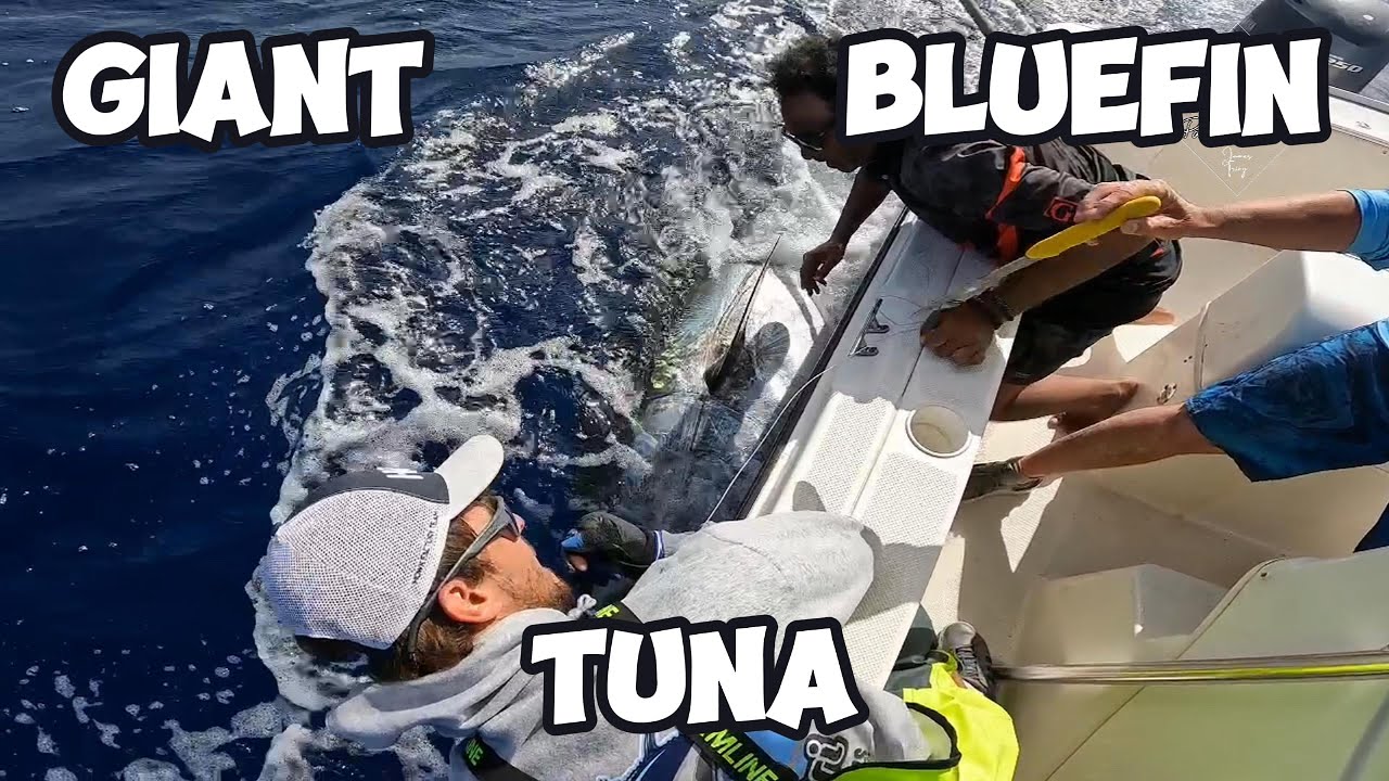 Giant Bluefin Tuna in Tenerife - Aussie Power & Determination in Canary Islands. Howk Titan Red