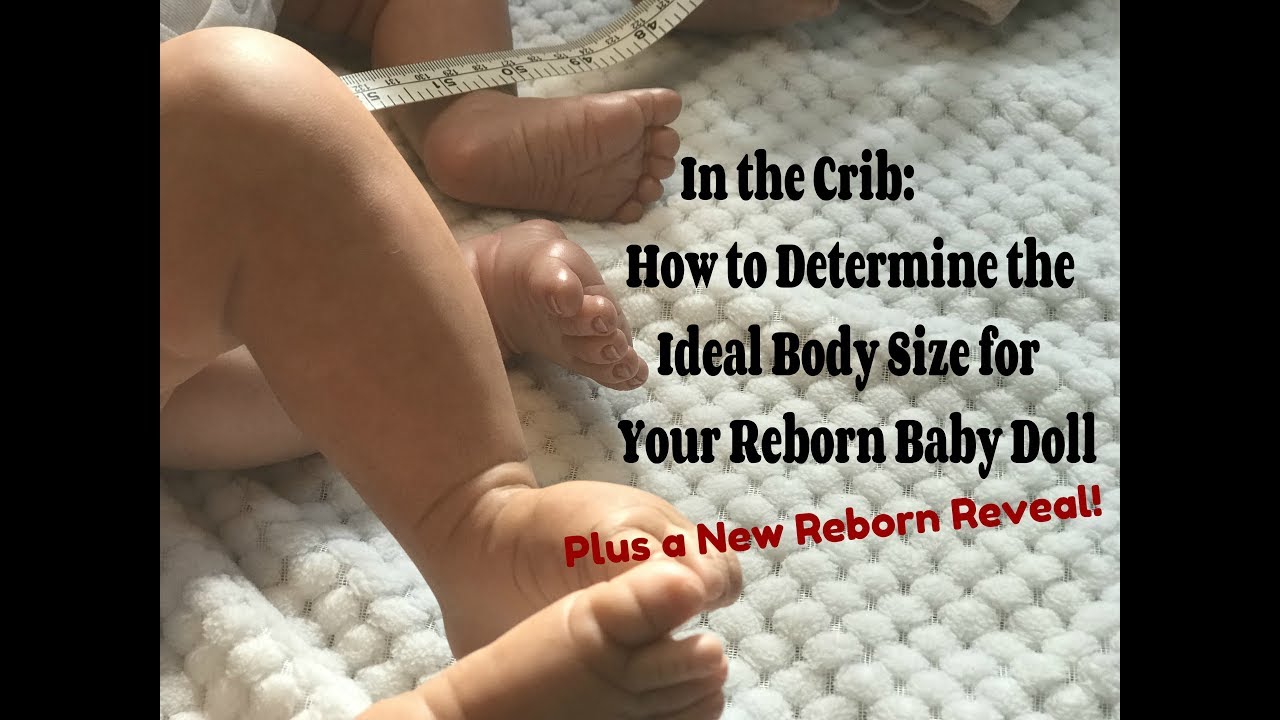 In the Crib: How to Determine the Ideal Body Size for a Reborn Doll! A New Reborn!
