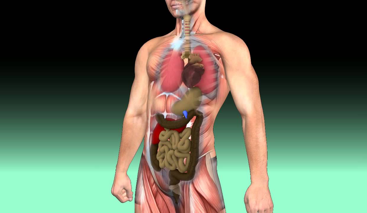 What is Halitosis