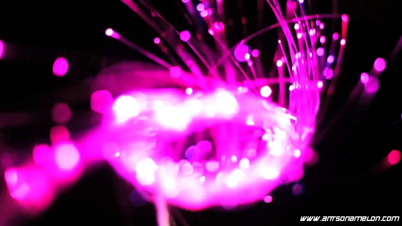 BitWhip™ Fiber Optic Whip Compilation by Ants on a Melon, Inc. *HD*