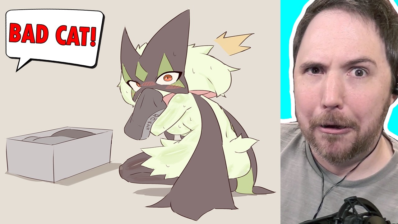 IS IT WEIRD WHEN YOUR HUMANOID POKEMON CAT GETS INTO YOUR LAUNDRY? - Pokemon Memes