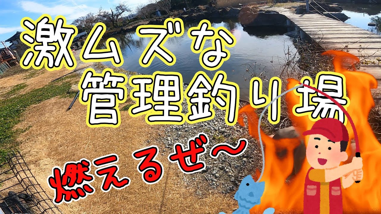 おさかなつりとと～激ムズな釣堀～