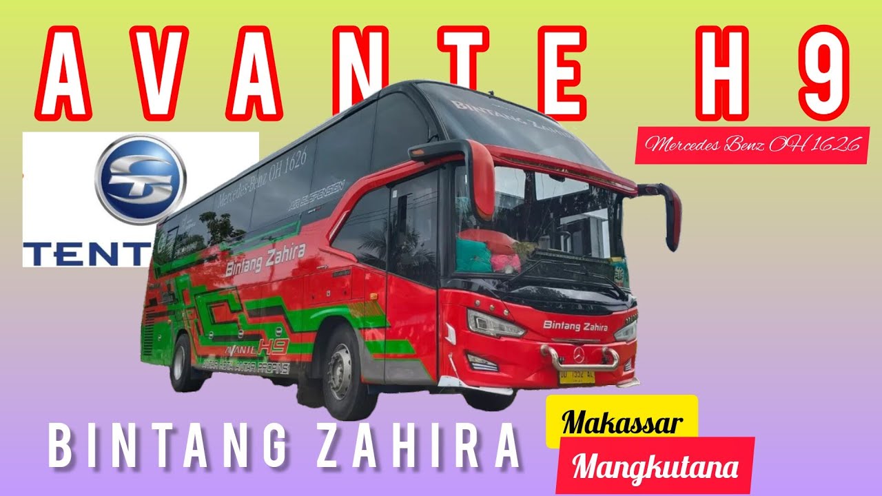 TRIP MAKASSAR - PALOPO BY BUS BINTANG ZAHIRA TRANS 🚍 KELAS BIGTOP DAN EKONOMI DALAM SATU BUS❗KEREN😎