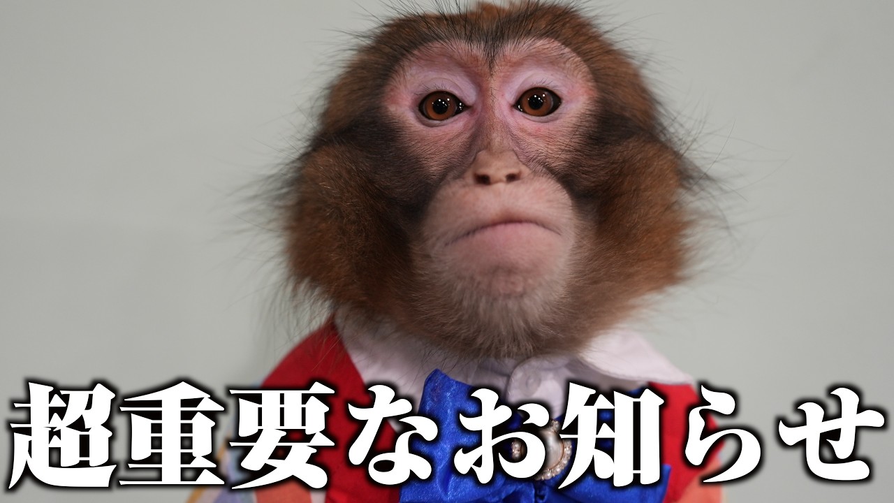 ルートくんについて&hellip;ちょっと知っておいてほしいことがあります