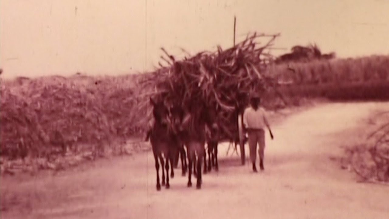 Mexico 1936 Reel 2 of 4