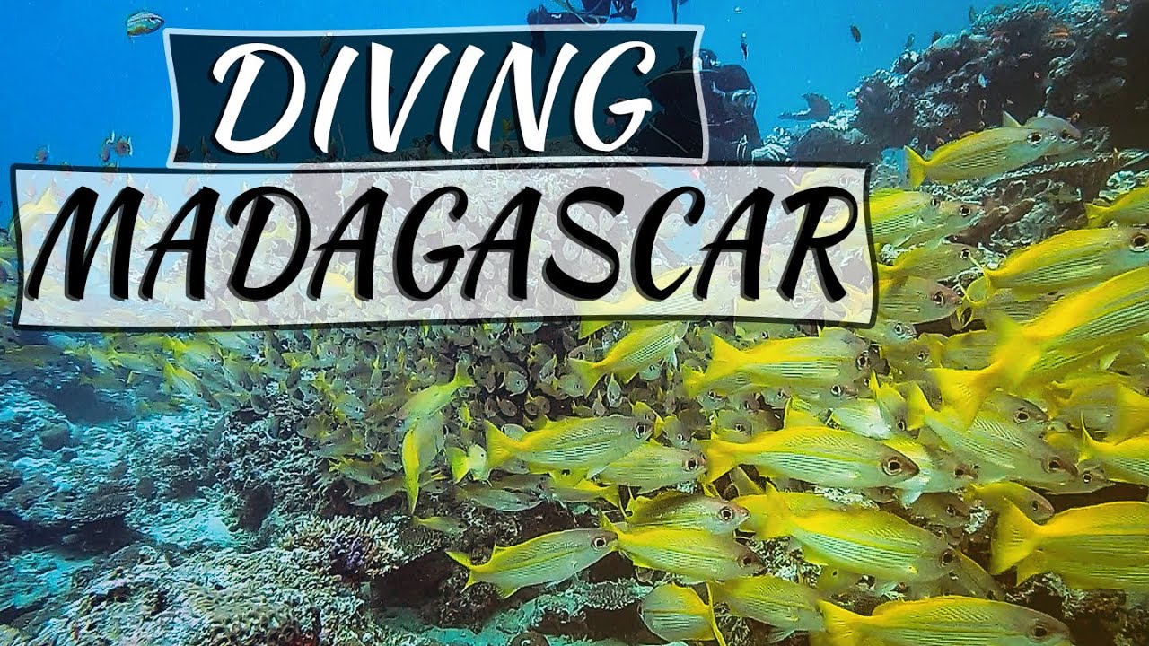 Diving Madagascar - Nosy Sakatia - Nosy Be - Tropical Beauty with Sakatia Lodge