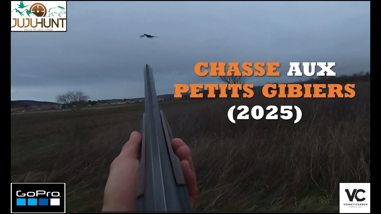 Chasse petits gibiers 2025 (Perdreaux, faisans et b&eacute;casses)