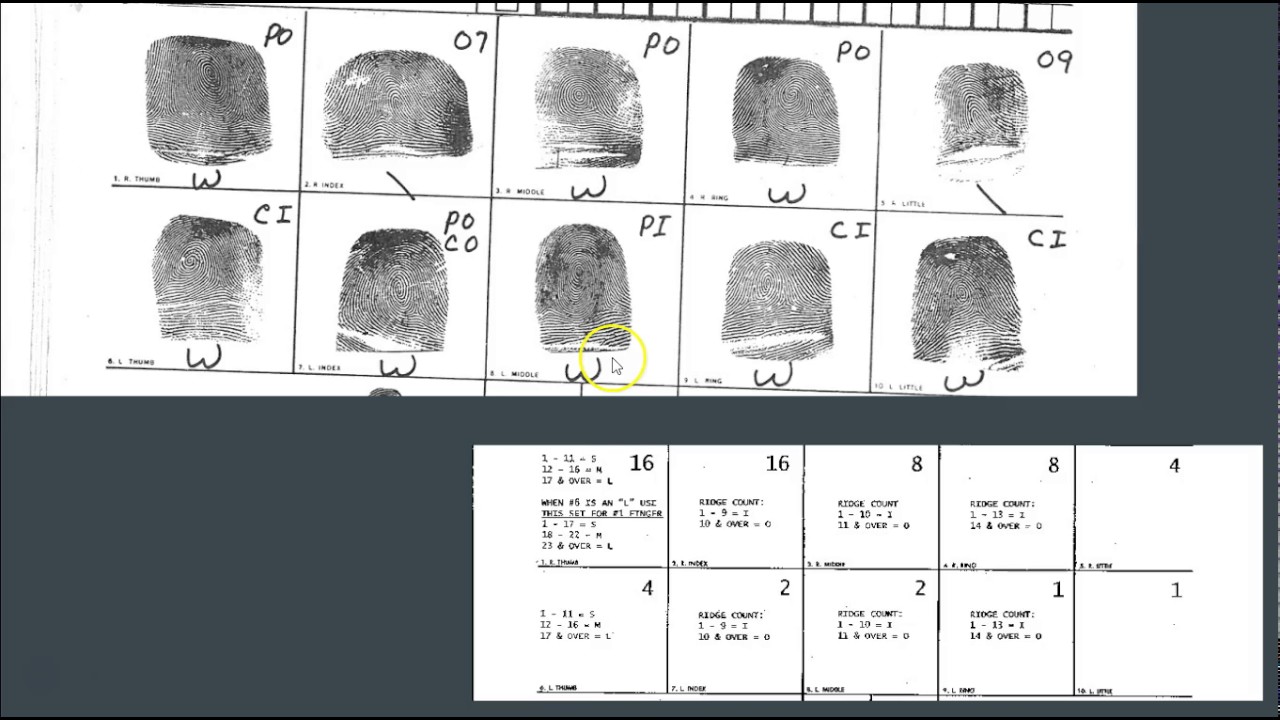 Henry Classification System Primarys