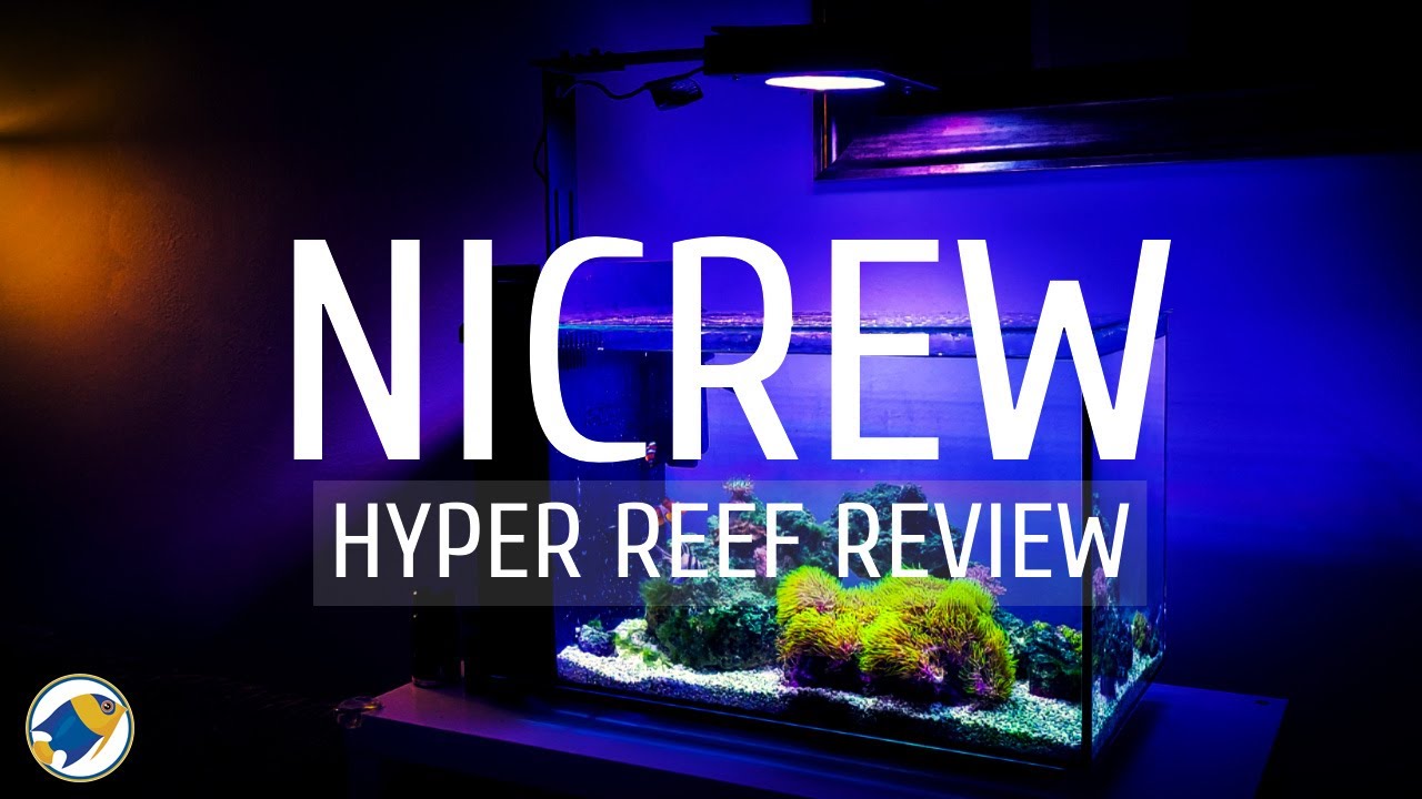 Nicrew Hyperreef Review | Nicrew 50W LED Reef Light
