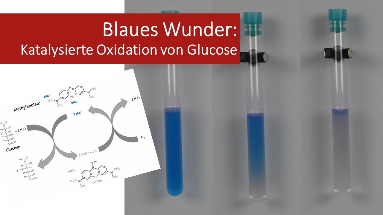 blaues Wunder: Katalysierte Oxidation von Glucose (4. Gym.)