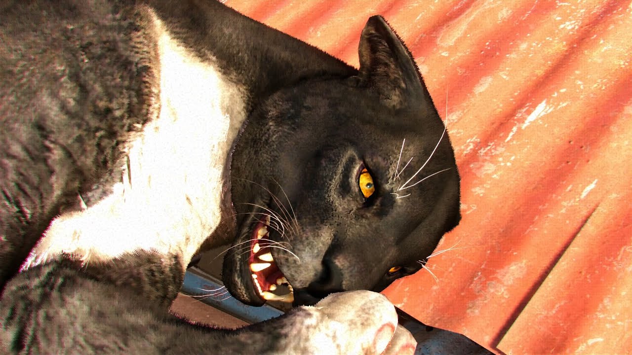Far Cry 6 - Hunting Alpha Jaguar(Sanguinario) with K-9000