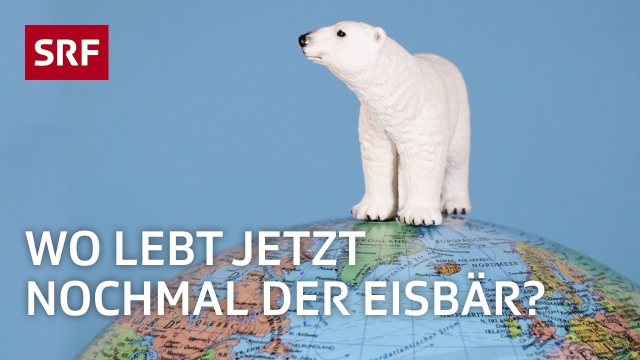 Arktis und Antarktis – nie mehr verwechseln | Erklärvideo | SRF