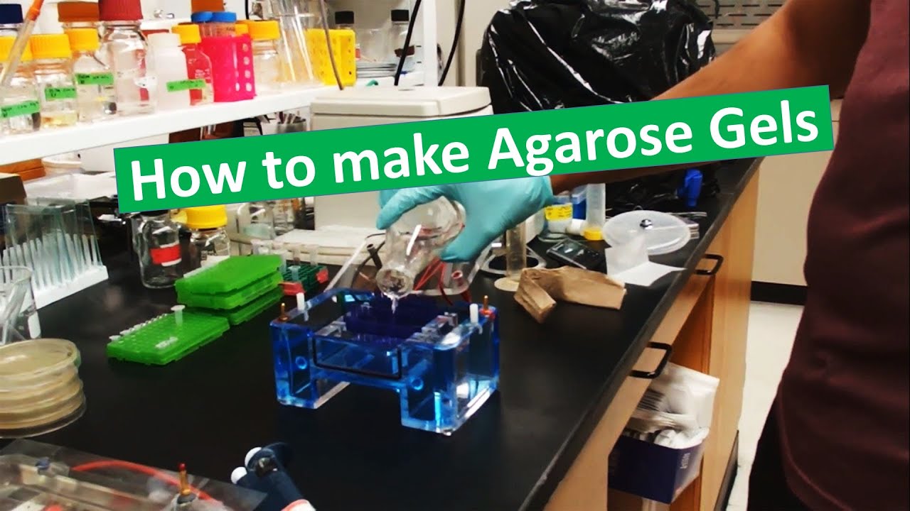 Casting agarose gels - Owl system
