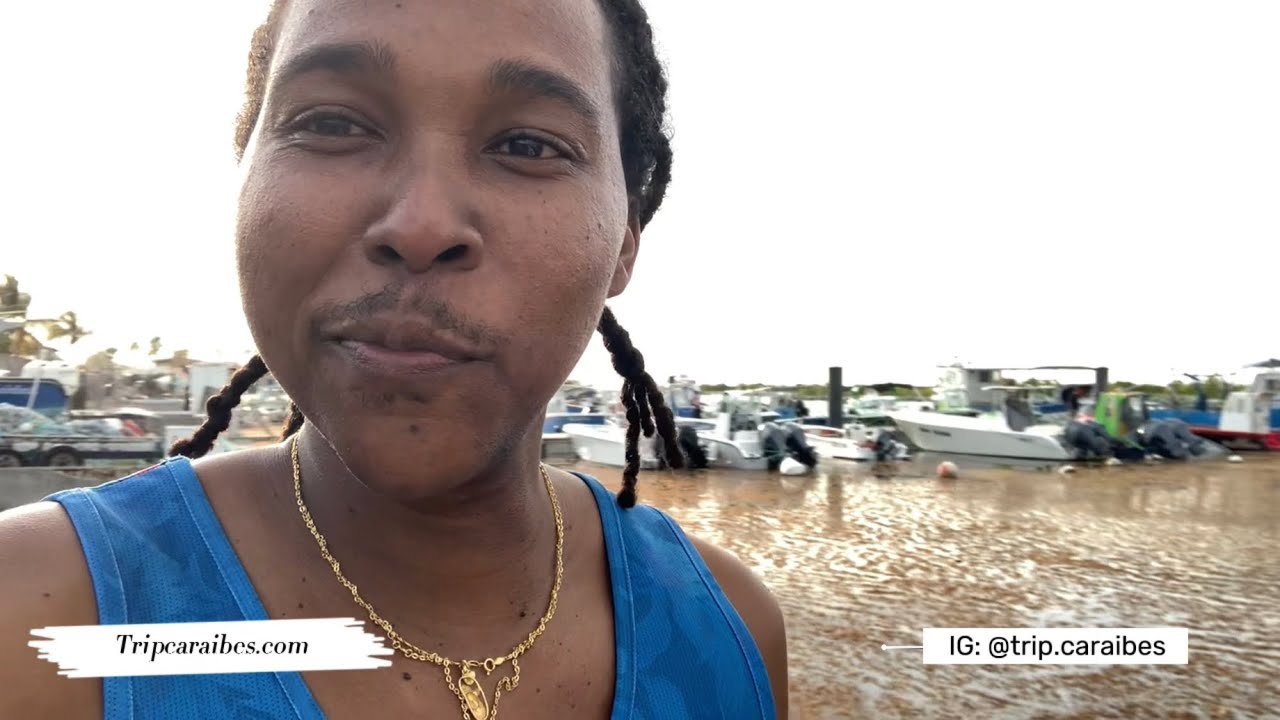Visite du port de pêche de Saint-François en Guadeloupe envahie par les sargasses !