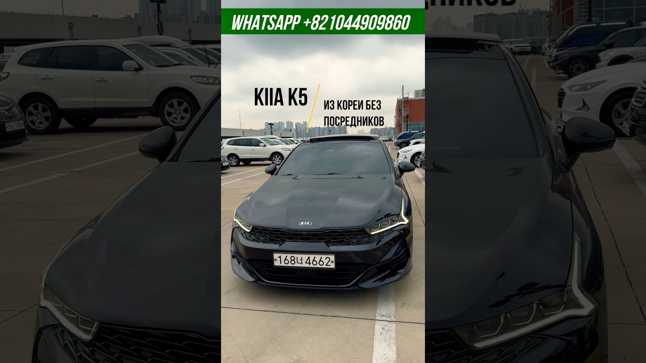 KIA K5 ИЗ ЮЖНОЙ КОРЕИ БЕЗ ПОСРЕДНИКОВ И ПЕРЕПЛАТ🔥 #киа #к5 #автоизкореи #kiak5