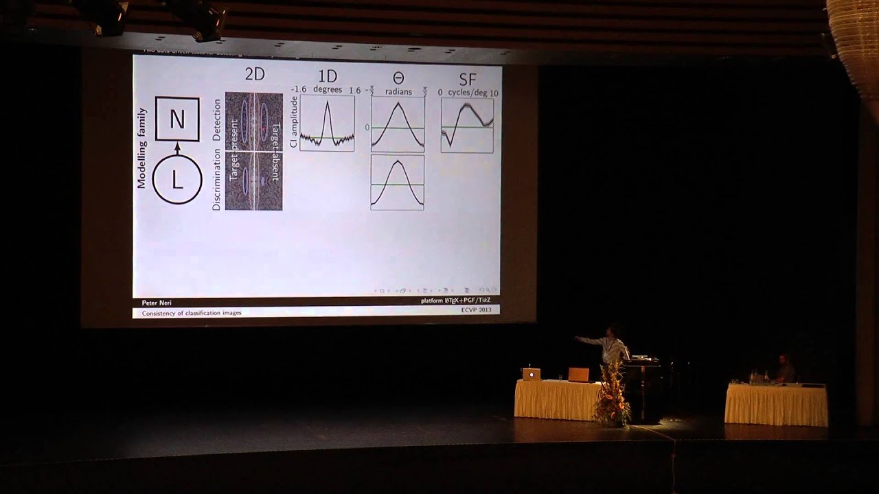 ECVP 2013 Visual Noise Symposium, Talk 4: Peter Neri