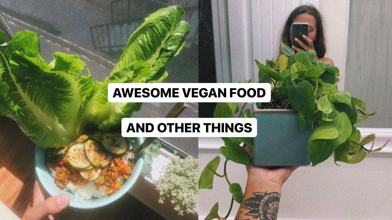 what I did and ate today as a vegan girl