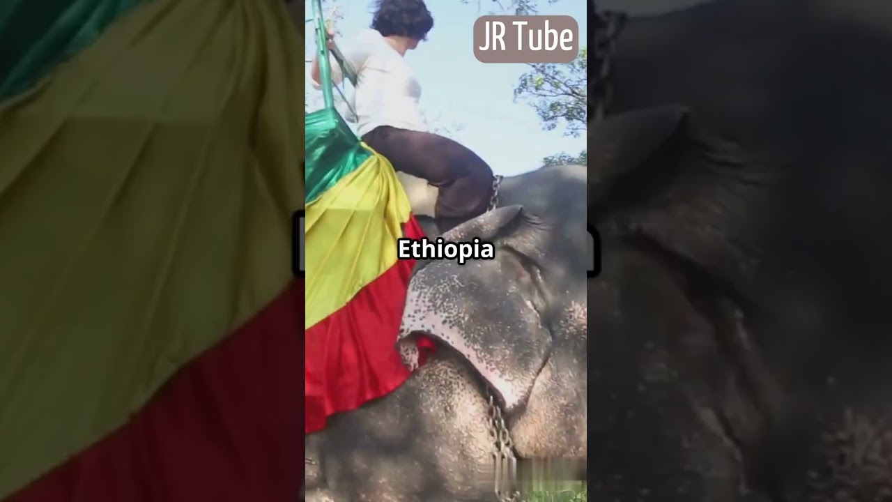 Emperor Tewodros II | A Vision for a Unit | #history #marinemystery #historyofchristianity