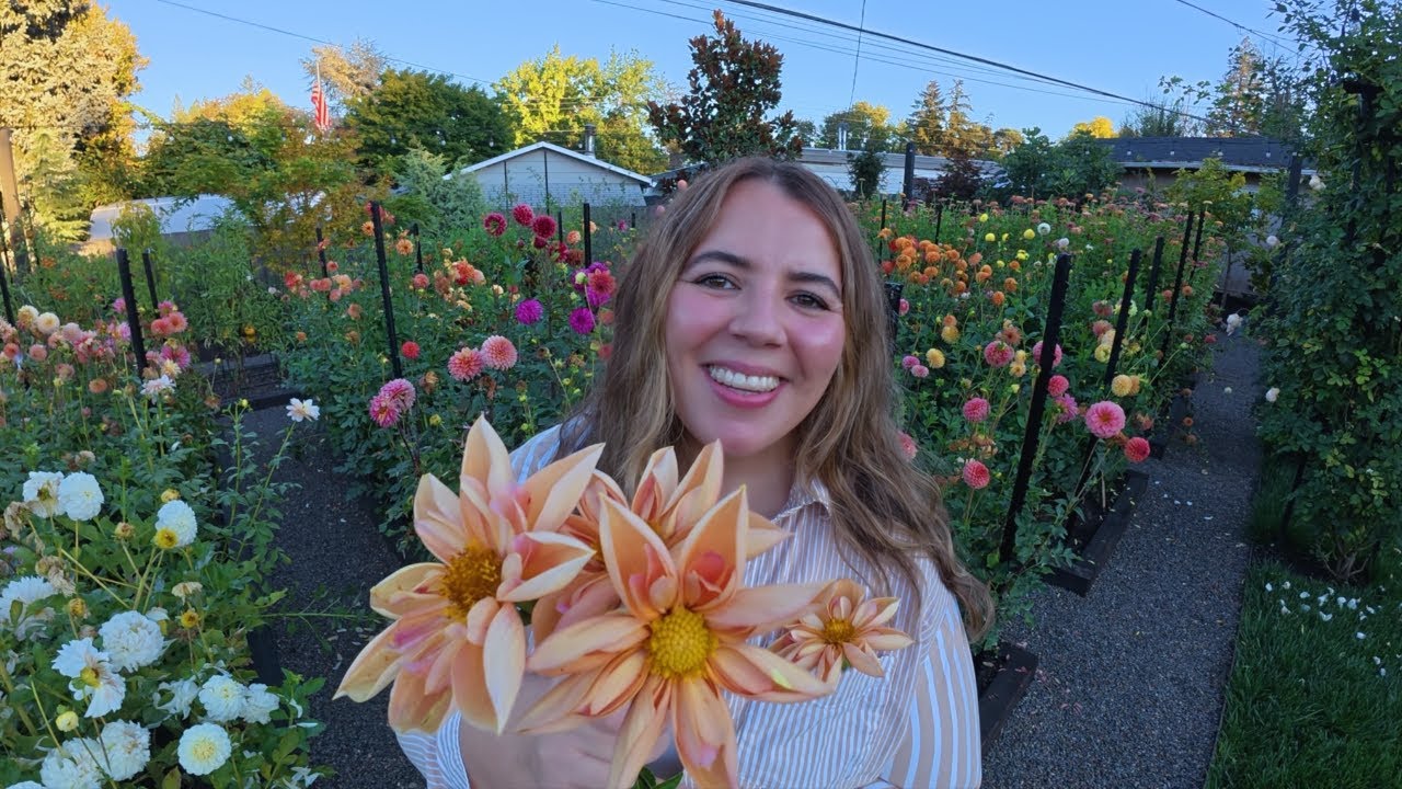 Saving Dahlia Seeds!!  Discovering New Dahlias! 😍🌱