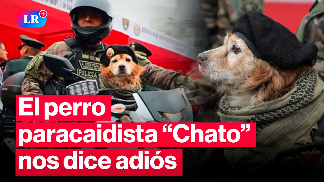 🐶“Chato”, el perro paracaidista de la PNP se retira durante el Desfile Militar  | #LR