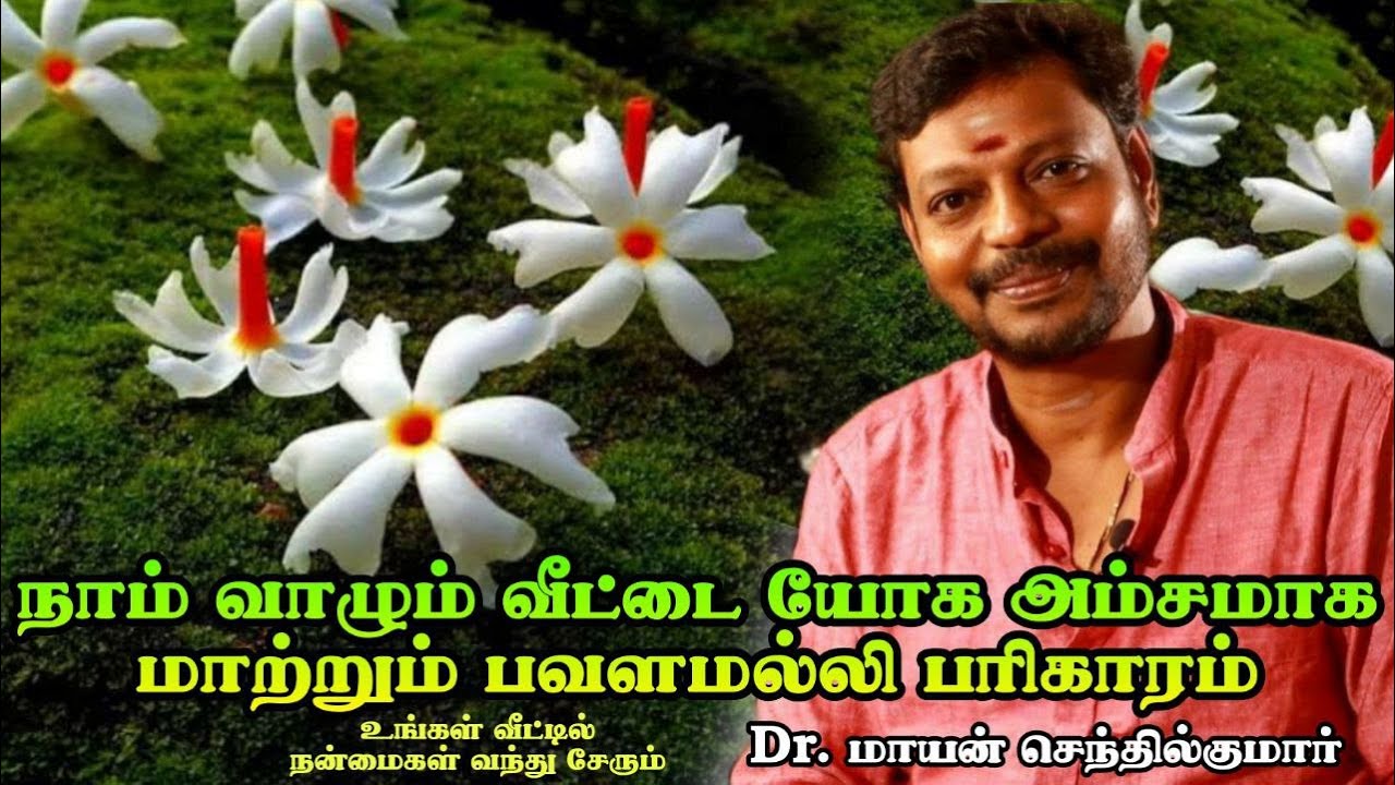 நாம் வாழும் வீட்டை யோக அம்சமாக மாற்றும் பவளமல்லி பரிகாரம் Dr. மாயன் செந்தில்குமார்