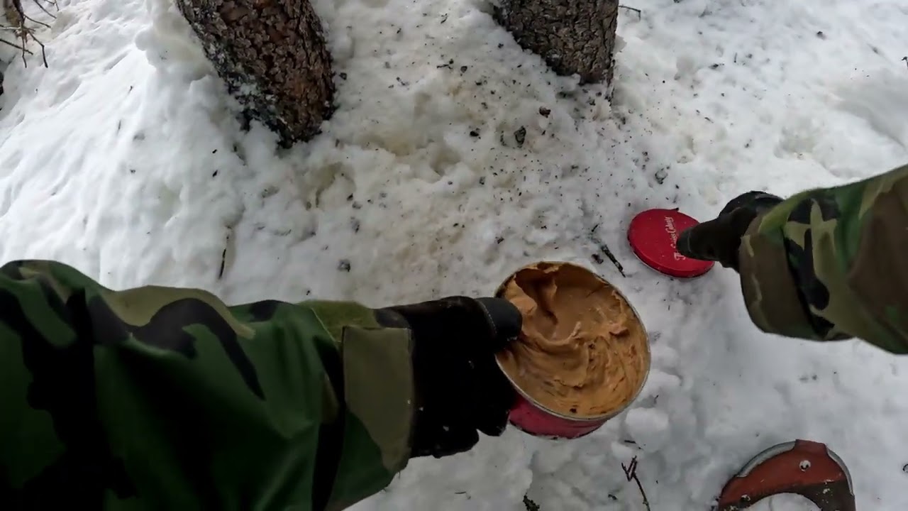 Checking traps after the storm
