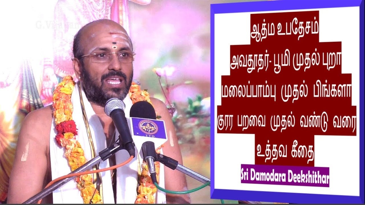 நவ யோகிகள்  உபாக்யானம் | கலியுகத்தில்  தர்மங்கள் | Uddhava Gita |  Sri Damodara Dikshithar