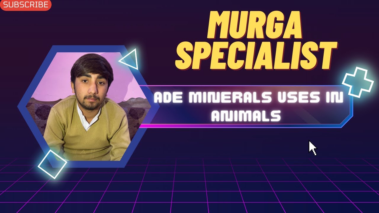 Ade mineral uses in animals | Ade mineral benefits in animals | explained by hamza. #animals