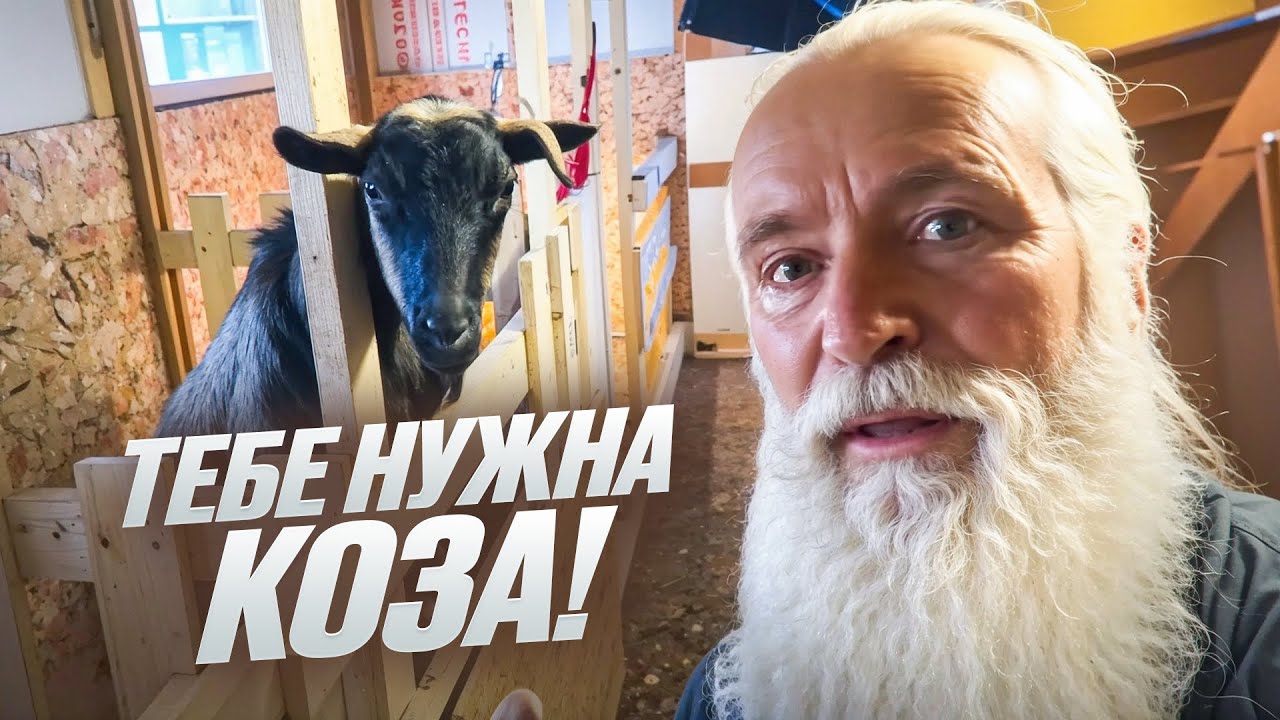 Вот почему тебе нужна КОЗА – секрет самообеспечения!