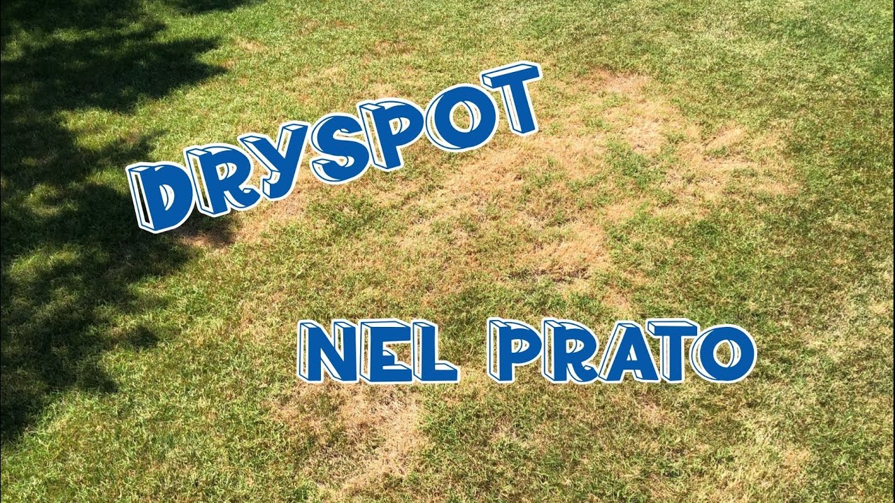 Dryspot chiazze idrofobiche nel prato